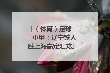 （体育）足球——中甲：辽宁铁人胜上海嘉定汇龙
