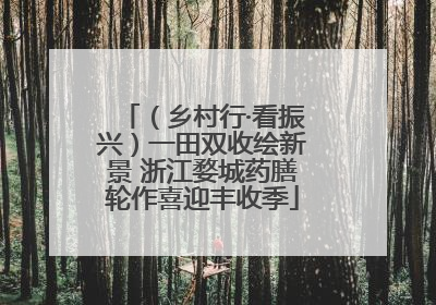 （乡村行·看振兴）一田双收绘新景 浙江婺城药膳轮作喜迎丰收季