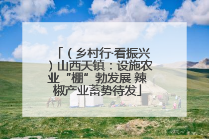 （乡村行·看振兴）山西天镇：设施农业“棚”勃发展 辣椒产业蓄势待发