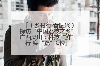 （乡村行·看振兴）探访“中国荔枝之乡”广西灵山：科技“鲜”行 实“荔”C位