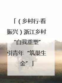 （乡村行·看振兴）浙江乡村“自我重塑” 引青年“筑巢生金”