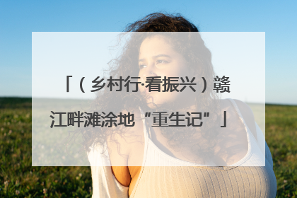 （乡村行·看振兴）赣江畔滩涂地“重生记”
