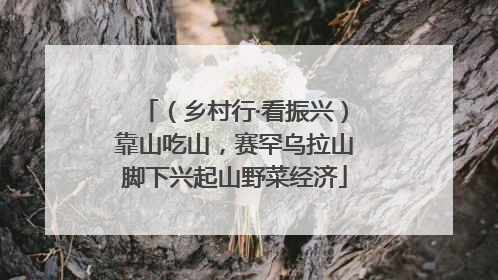 （乡村行·看振兴）靠山吃山，赛罕乌拉山脚下兴起山野菜经济