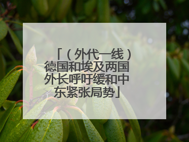（外代一线）德国和埃及两国外长呼吁缓和中东紧张局势