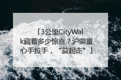 3公里CityWalk藏着多少惊喜？沪疆童心手拉手，“益起走”