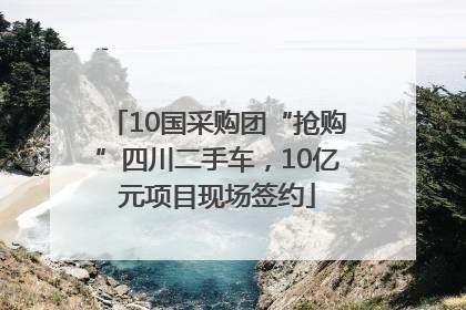 10国采购团“抢购”四川二手车，10亿元项目现场签约