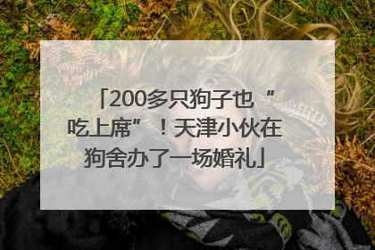 200多只狗子也“吃上席”！天津小伙在狗舍办了一场婚礼