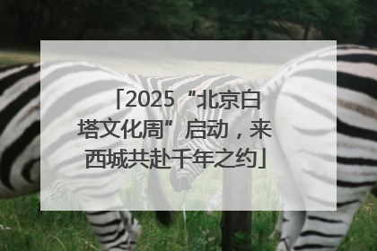2025“北京白塔文化周”启动，来西城共赴千年之约