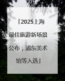 2025上海最佳旅游新场景公布，浦东美术馆等入选