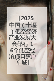 2025中国（十堰）低空经济产业发展大会举行 16个低空经济项目落户车城