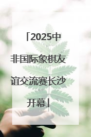 2025中非国际象棋友谊交流赛长沙开幕
