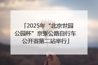 2025年“北京世园公园杯”京张公路自行车公开赛第二站举行
