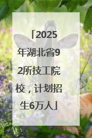 2025年湖北省92所技工院校，计划招生6万人