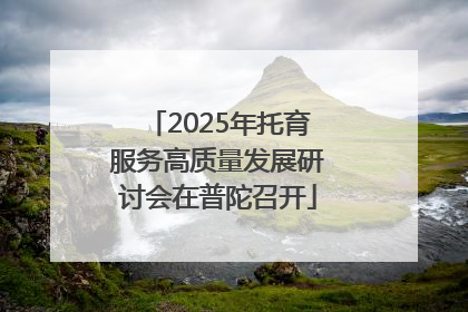 2025年托育服务高质量发展研讨会在普陀召开