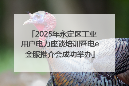 2025年永定区工业用户电力座谈培训暨电e金服推介会成功举办