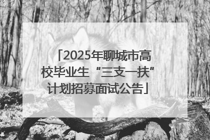 2025年聊城市高校毕业生“三支一扶”计划招募面试公告
