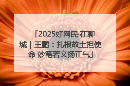 2025好网民·在聊城｜王鹏：扎根故土担使命 妙笔著文扬正气