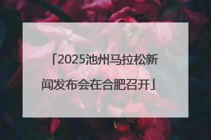 2025池州马拉松新闻发布会在合肥召开