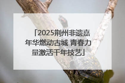 2025荆州非遗嘉年华燃动古城 青春力量激活千年技艺