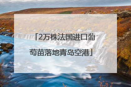 2万株法国进口葡萄苗落地青岛空港