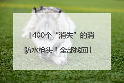 400个“消失”的消防水枪头！全部找回