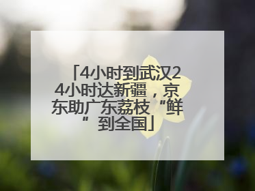 4小时到武汉24小时达新疆，京东助广东荔枝“鲜”到全国