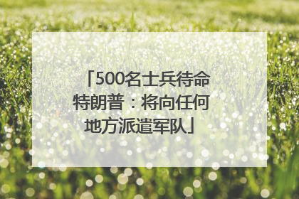 500名士兵待命 特朗普：将向任何地方派遣军队