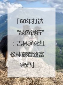 60年打造“绿色银行”：吉林通化红松林藏着致富密码