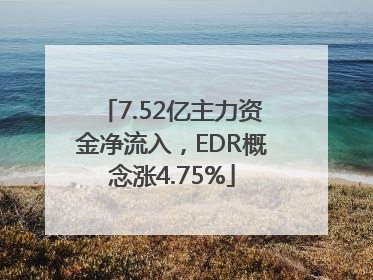 7.52亿主力资金净流入，EDR概念涨4.75%