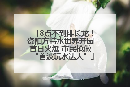 8点不到排长龙！资阳方特水世界开园首日火爆 市民抢做“首波玩水达人”