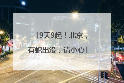 9天9起！北京，有蛇出没，请小心