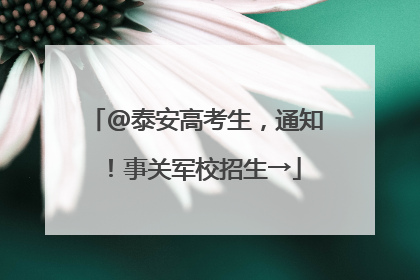 @泰安高考生，通知！事关军校招生→