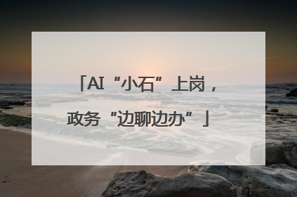 AI“小石”上岗，政务“边聊边办”