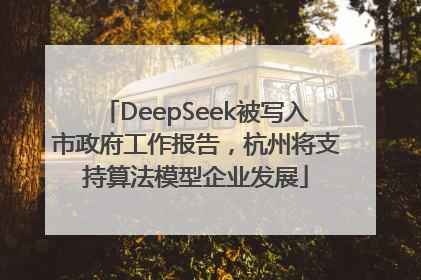 DeepSeek被写入市政府工作报告，杭州将支持算法模型企业发展