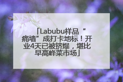 Labubu样品“痛墙”成打卡地标！开业4天已被挤爆，堪比早高峰菜市场